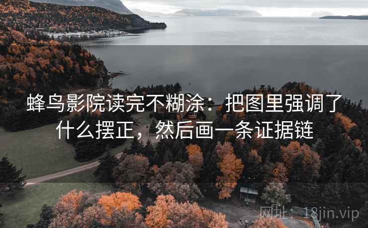 蜂鸟影院读完不糊涂：把图里强调了什么摆正，然后画一条证据链