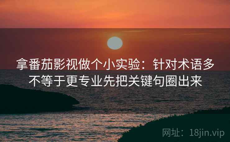 拿番茄影视做个小实验：针对术语多不等于更专业先把关键句圈出来